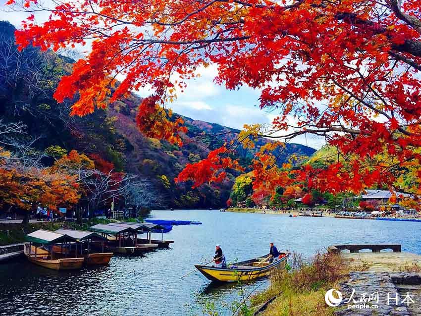 京都嵐山（攝影：庚王虎）