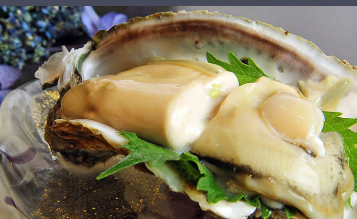 岩牡蠣成了富山灣夏季的美食標配