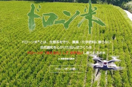 日本上市不靠农药与化肥的无人机大米 海外富