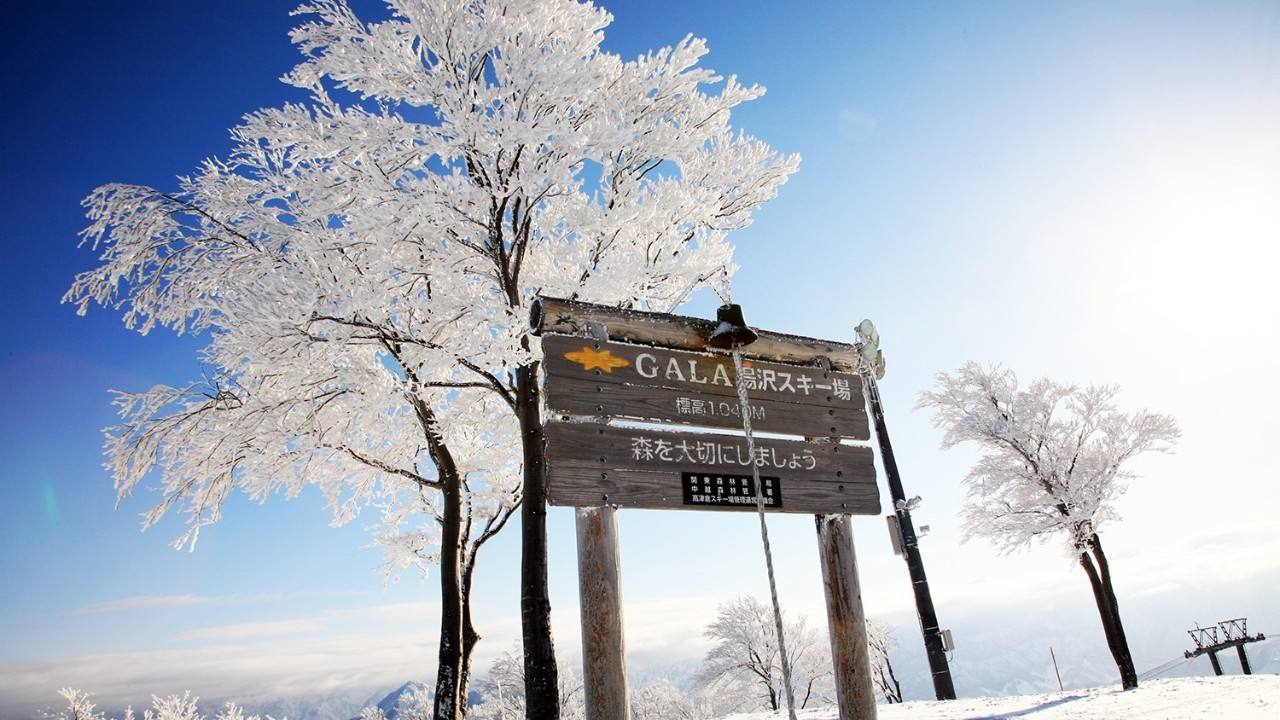 JR东日本高崎分公司公布冬季列车增开情况 方便海外滑雪游客的班次增多--日本频道--人民网