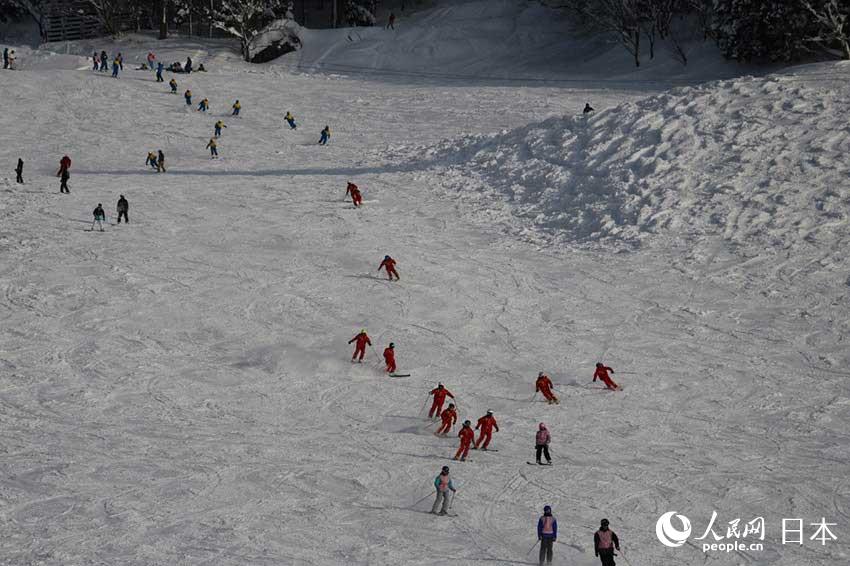 中國青少年滑雪隊與日本青少年進行滑雪訓練（許永新--攝）