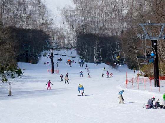 北海道登别市计划培养留学生滑雪教练 教外国