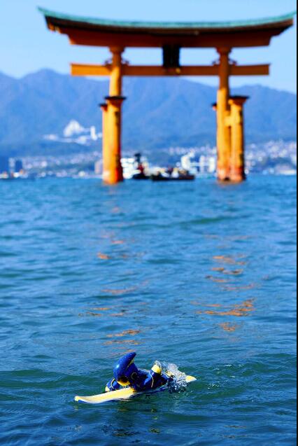 松下机器人在严岛神社海面游泳 创吉尼斯世界纪录