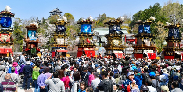 日本愛知犬山祭舉行 櫻花樹下欣賞花車巡游（圖片來源：朝日新聞網站）