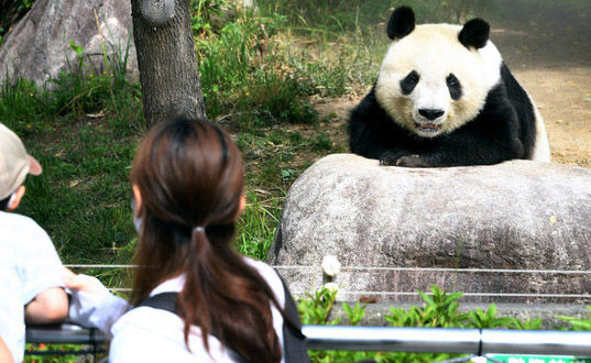 上野動物園將重新開園