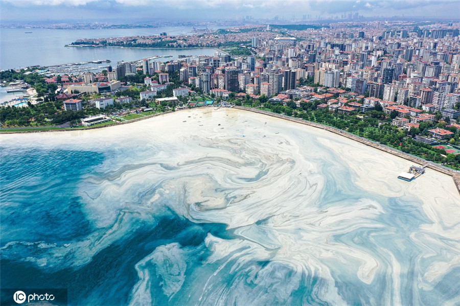 土耳其海岸“海鼻涕”泛滥成灾