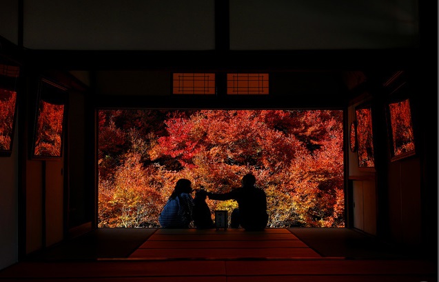 日本各地相繼迎來紅葉觀賞季 美景宛如畫卷