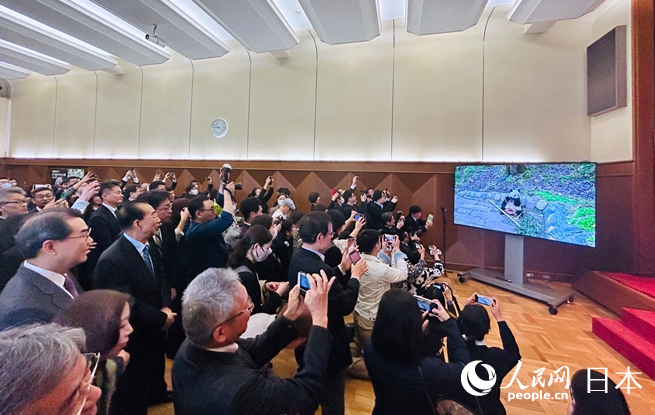 由中國公共外交協會、中國駐日本大使館和澎湃新聞共同舉辦的大熊貓香香雲連線暨粉絲分享會9日在東京舉行。人民網 許可攝