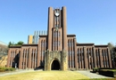东京大学24年度入学合格女生仅占19.4%