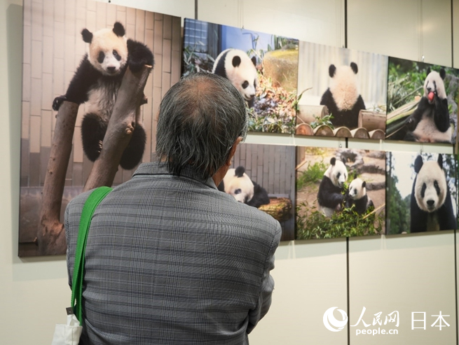 到場嘉賓觀看展覽。人民網 許可攝