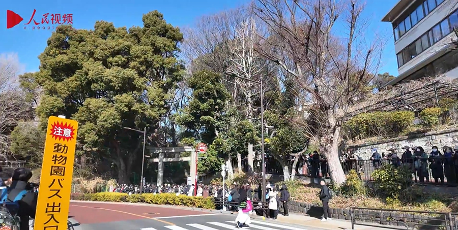 旅日大熊貓“曉曉”和“蕾蕾”啟程回國 日本民眾排長隊告別