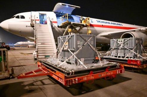 旅日大熊猫“晓晓”“蕾蕾”回到家乡