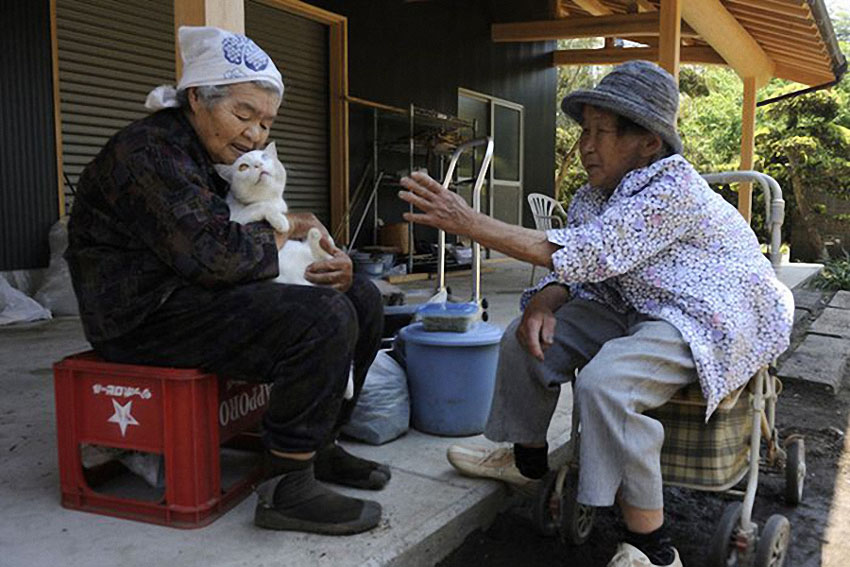 日本摄影师伊原美代子作品《祖母与猫》 (20)