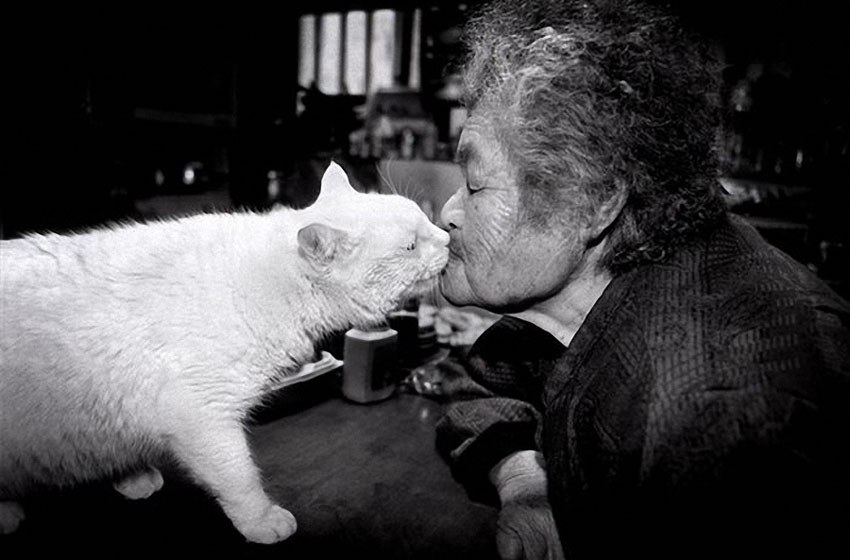 日本摄影师伊原美代子作品《祖母与猫》 (5)