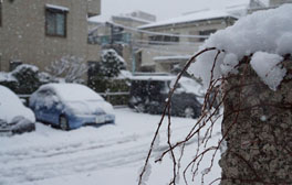 东日本地区普降大雪