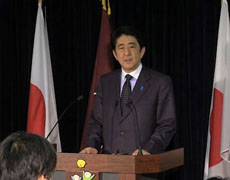 2012日本众议院选举