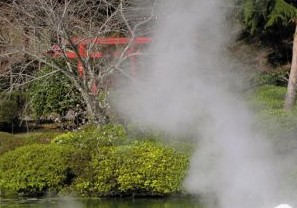 日本“特色”温泉