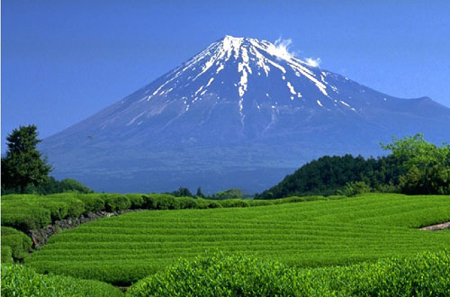 富士山列入世界文化遗产