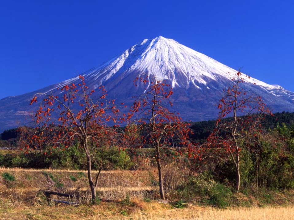 17.富士山