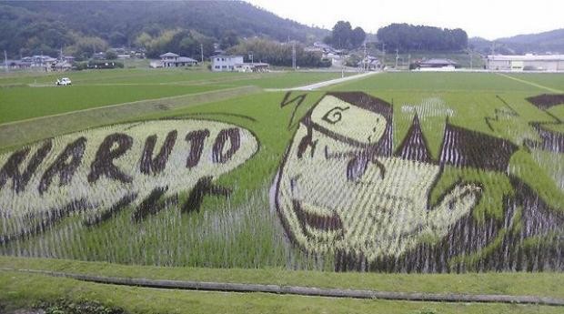 青森县田舍馆村\稻田画车站\开业