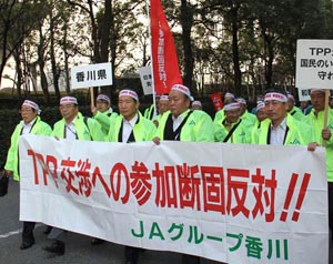 数千人在东京举行反对加入TPP谈判的游行