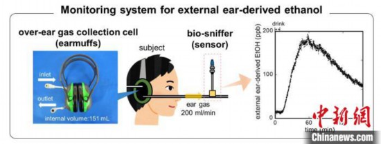 国际最新研究：专用耳套可通过皮肤测量血液酒精含量