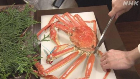 一只价值500万日元(约合人民币30万元)的帝王蟹。图片来源：日本放送协会(NHK)报道截图。