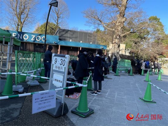 1月12日早晨8點30分左右，上野動物園的入口處在開園前就排起了長隊。人民網 吳穎攝