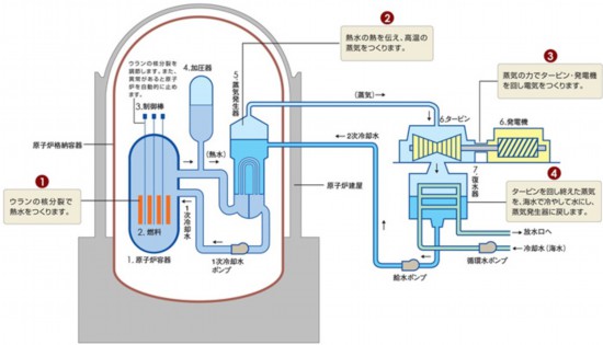  核电站运作原理图。通常的核电站排水未直接接触核燃料。图片来源：日本北海道电力株式会社网站